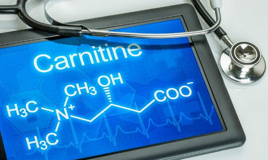 The What, Where, and Why of Carnitine