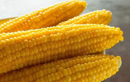 Is Corn Good for Cholesterol? Nutrition Facts & Heart Health Insights