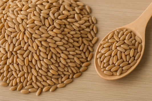 Health Benefits of Triticale: Nutrition, Uses, and Comparison with Rye & Wheat