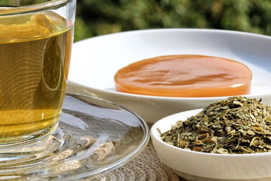 Kombucha Tea: Benefits, Risks, and Brewing Tips