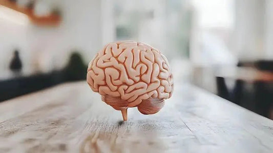 Pineal Gland Health: Best Diet to Clean Pineal Gland Naturally