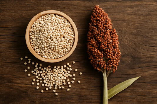 What Is Sorghum? The Ancient Grain with Cancer-Fighting Potential