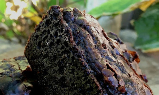 Banana Flour Brownies – Healthy, Gluten-Free, and Naturally Sweet