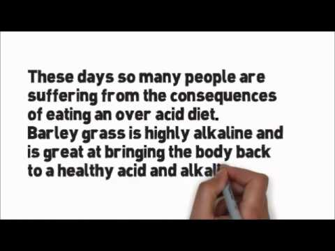 Barley Grass Juice, Superior Nutrition at your Fingertips