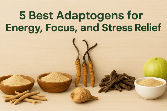 5 Best Adaptogens for Energy, Stress Relief & Men’s Health