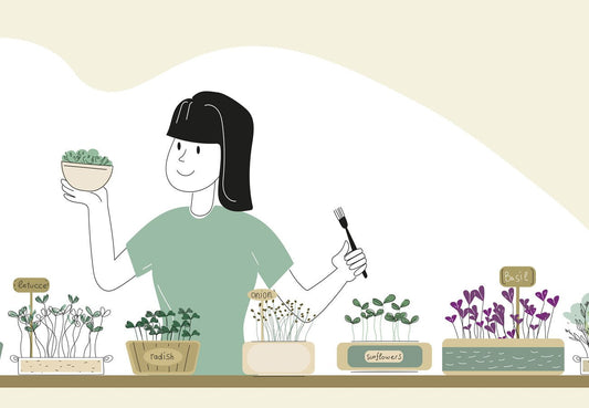 Home Garden: 5 How-To Basic Steps + Juice and Smoothie Recipes!