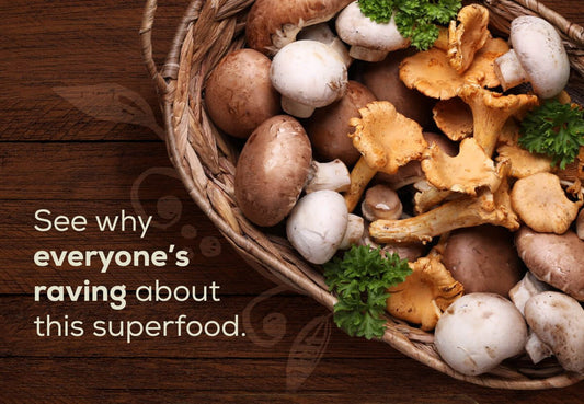 Mushrooms Are Must-Haves: The Benefits that Keep Everyone Buzzing About These Functional Fungi