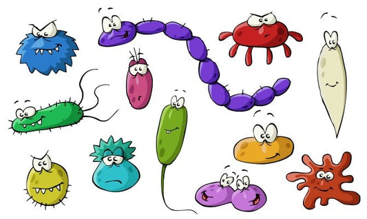 Symptoms of Parasite Infections & Natural Remedies