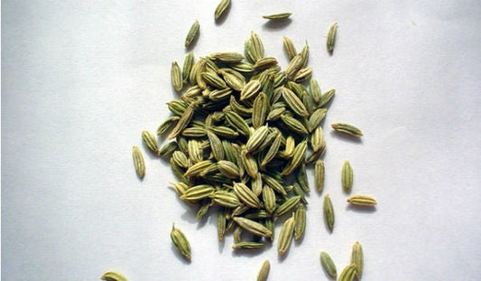 The Health Benefits of Fennel Seeds