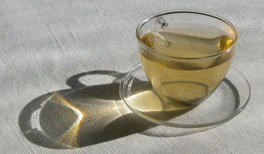 Top 10 Herbs for Cancer Prevention: Effective Anti-Cancer Herbs