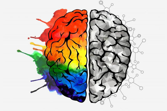 15 Best Brain Superfoods to Boost Memory and Focus