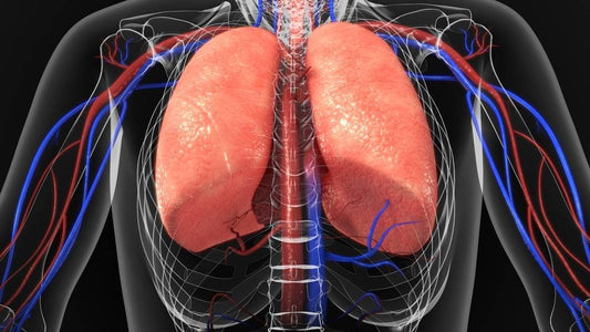 14 Foods for Healthy Lungs and Improved Breathing [INFOGRAPHIC]