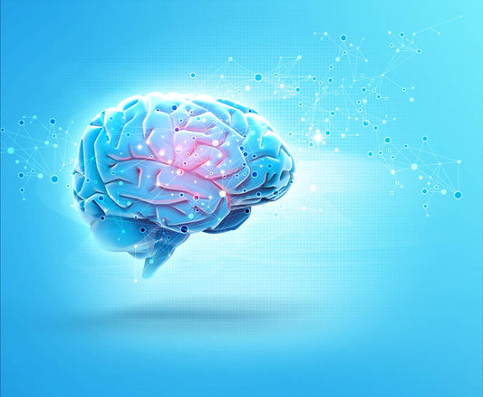 Omega-3 and Brain Health: Benefits, Clarity, and Scientific Insights