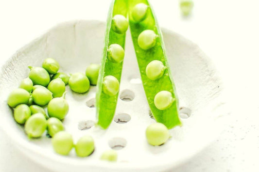 Top 10 Pea Protein Benefits