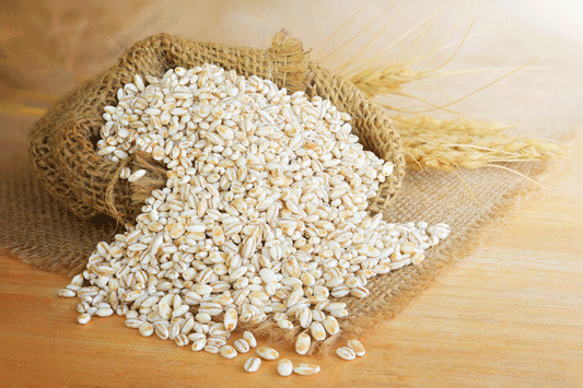What Is Upcycled Protein? Benefits, Barley Sources & Why It Matters in 2025