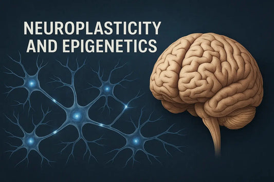 Neuroplasticity and Epigenetics: How Your Brain and Genes Adapt Together