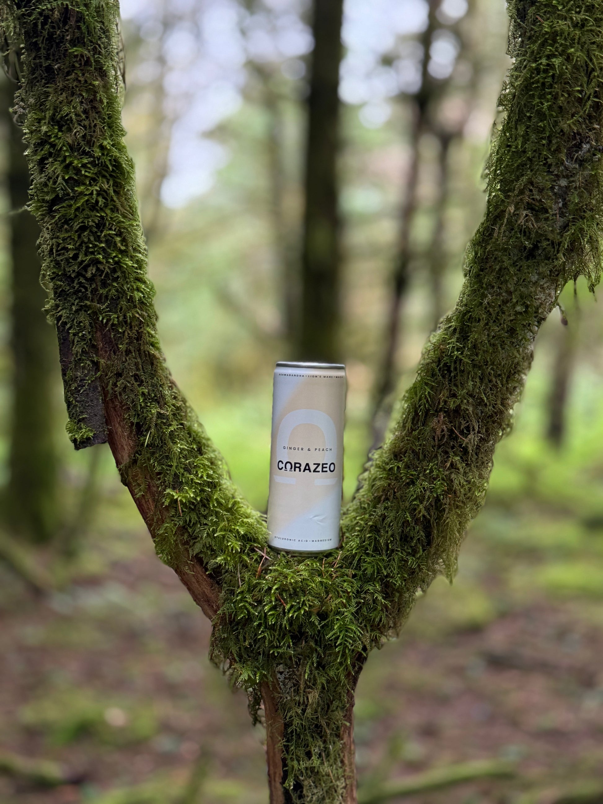 Ginger & Peach CORAZEO Pack